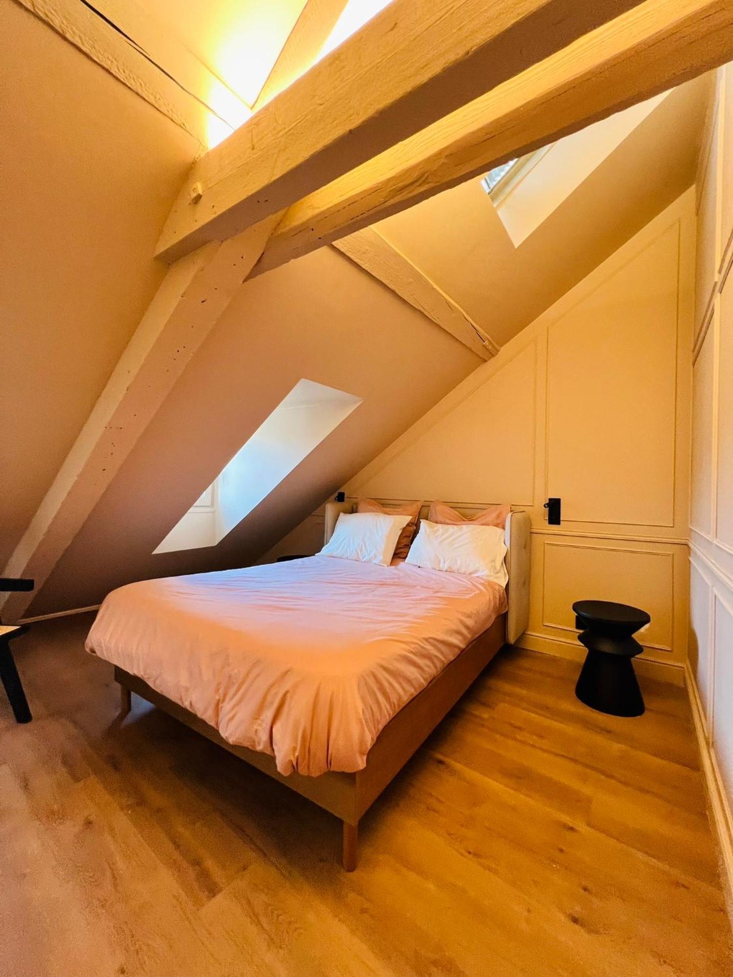 שטרסבורג Chez Sandrine, Mon Appartement Elegant + Parking מראה חיצוני תמונה